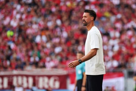 Erstes Bundesligaspiel als Trainer: Sandro Wagner. Foto: Philipp von Ditfurth/dpa