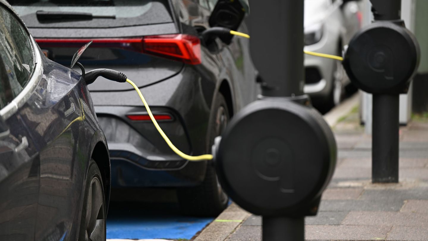 Survey: Eight out of ten e-car drivers can find electricity suitable for everyday use