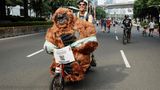 Mann mit Otang Utan Puppe auf Motorrad