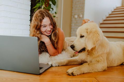 Was sind die besten Haftpflichtversicherungen für Hunde?
