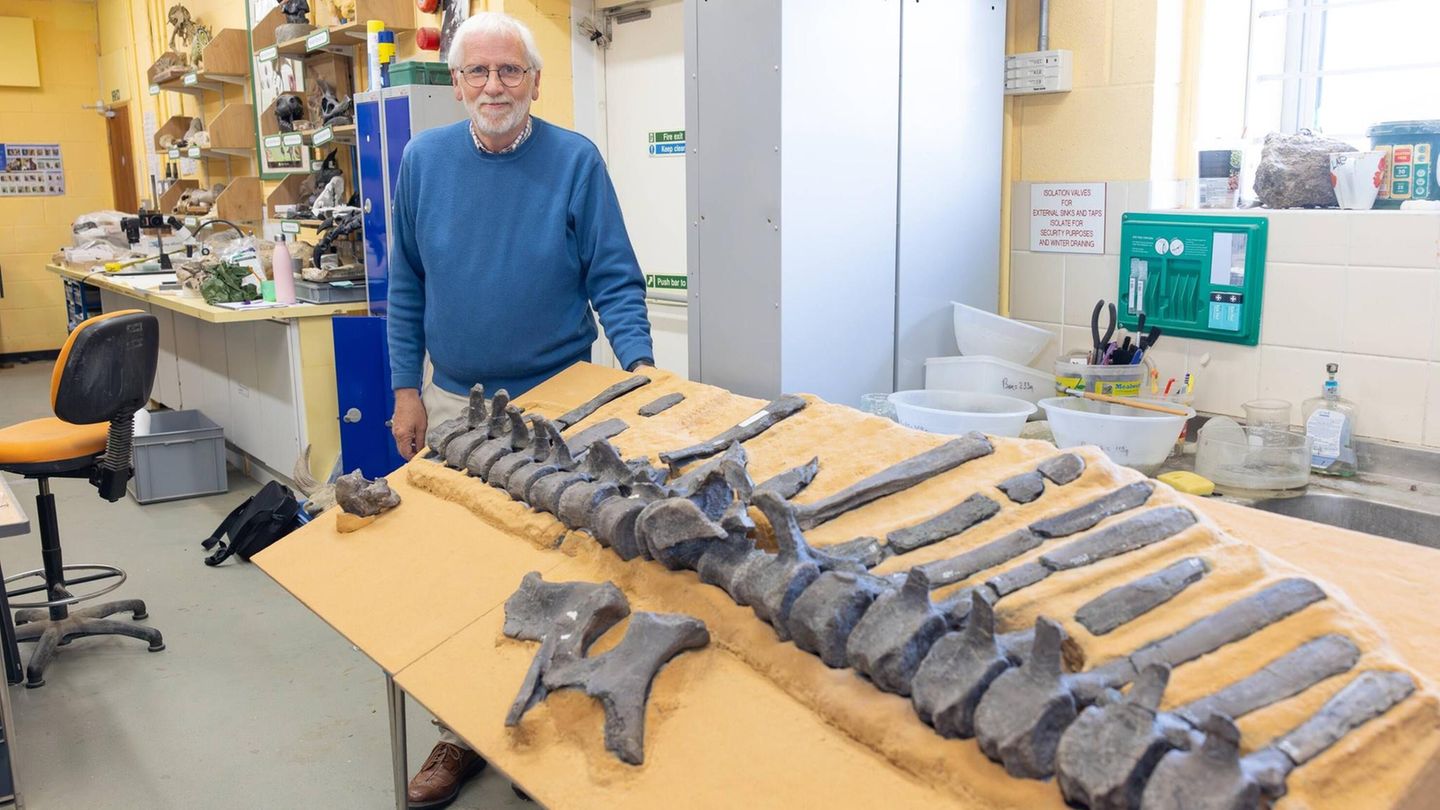 Jeremy Lockwood mit einigen Fossilien von Wirbelsäule und Becken des entdeckten Dinosauriers