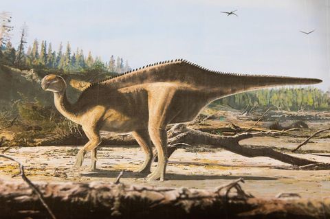 Künstlerische Darstellung von Istiorachis macaruthurae, einem neu entdeckten Dinosaurier