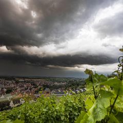 Das Wetter nächste Woche wird wechselhaft