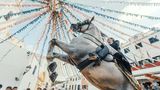 Ferreries, Spanien. Ein Reiter, Caixer genannt, lässt sein Pferd inmitten jubelnder Menschenmengen während des traditionellen Jaleo beim Sant Bartomeu Festival aufbäumen. Es wird auf den balearischen Inseln, insbesondere auf Mallorca und Ibiza, gefeiert, um den Schutzpatron, den Heiligen Bartholomäus, zu ehren