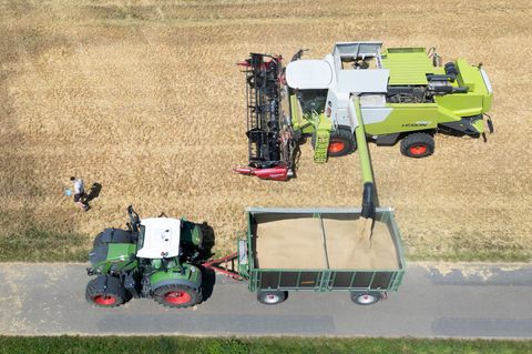 Die Landwirte in Nordrhein-Westfalen ziehen eine zufriedene Erntebilanz. Allerdings nur bei der Menge, nicht bei den Preisen. (A