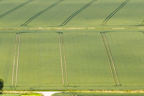 Die Bauern sind trotz Wetterstress mit der Getreide- und Rapsernte zufrieden. Foto: Julian Stratenschulte/dpa