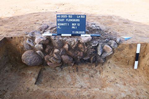 Noch bis Oktober arbeiten die Archäologen dort. Foto: -/Archäologisches Landesamt Schleswig-Holstein/ALSH/dpa