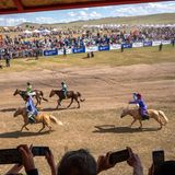 Mongolei: Kinderjockeys reiten auf ihren Pferden auf die Zielgerade zu