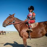 Mongolei: Junger Jockey in Reitausrüstung auf braunem Pferd