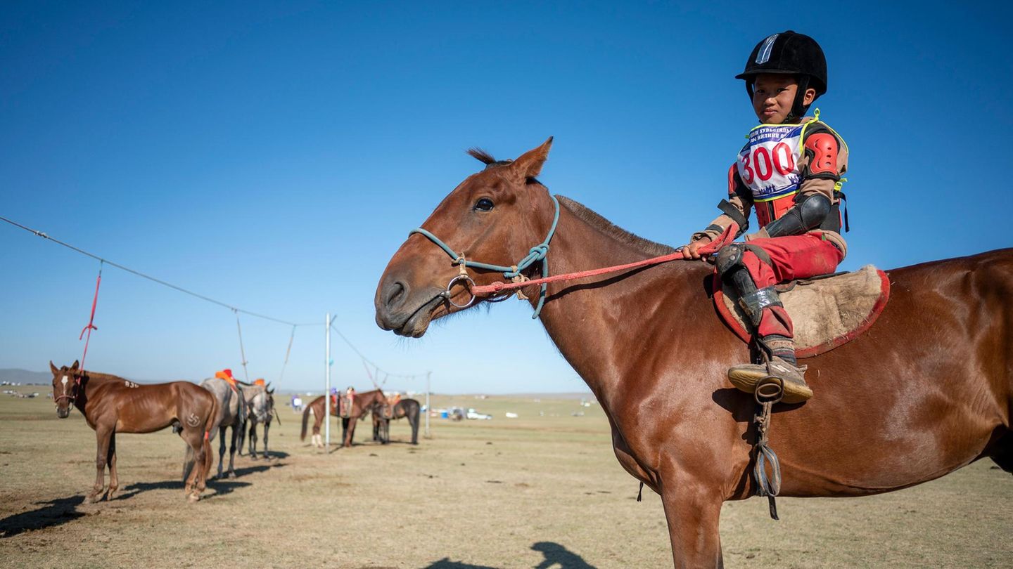 Mongolei: Junger Jockey in Reitausrüstung auf braunem Pferd