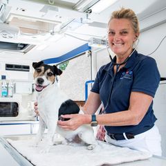 Tierärztin Martina Schafmayer