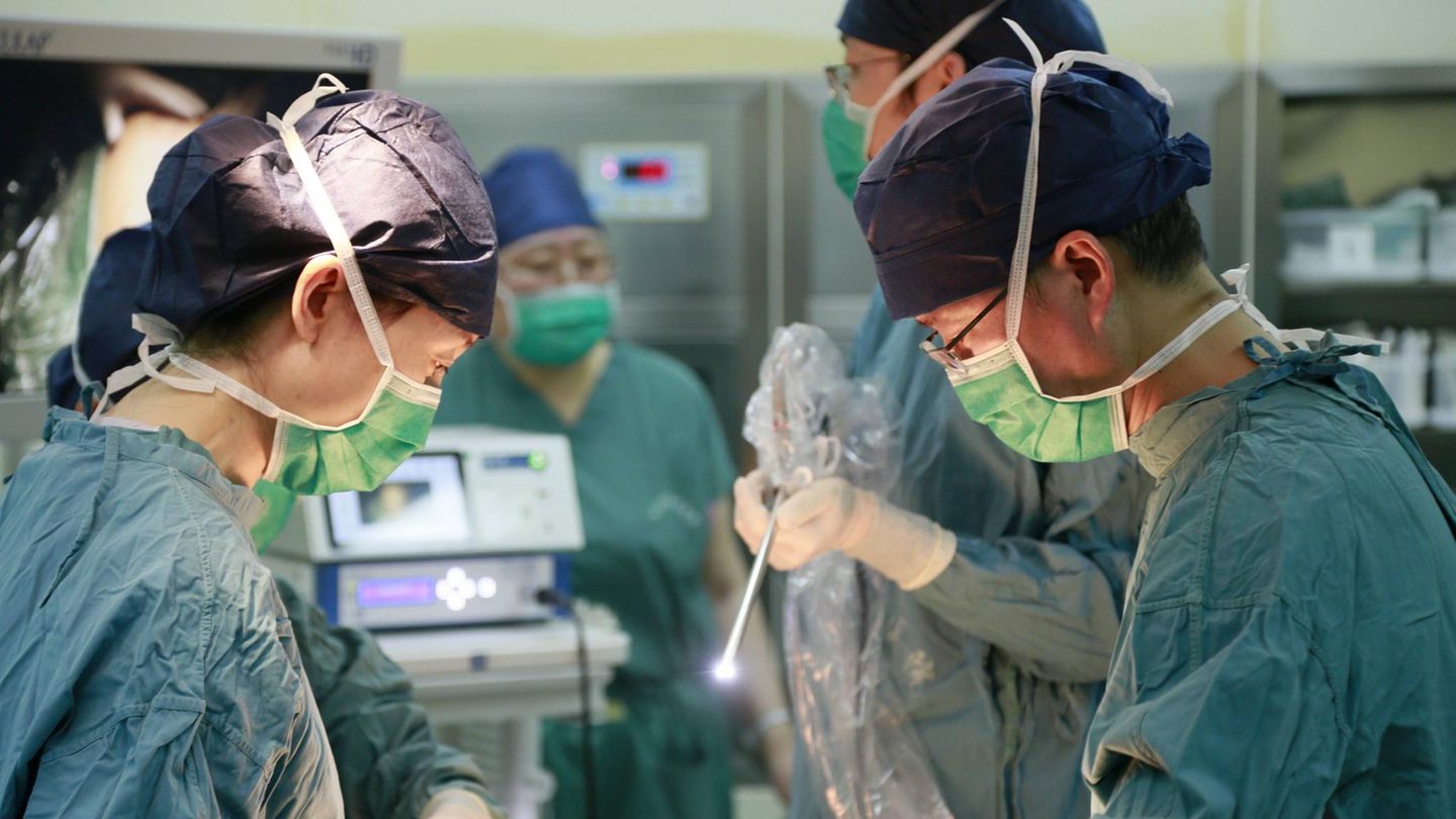 First transplantation of a pork in humans