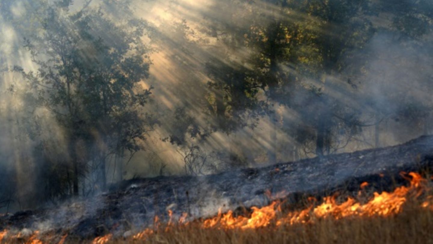 Feuer