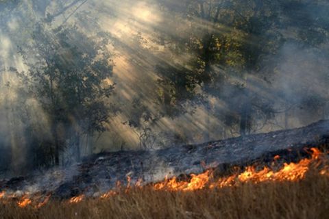 Feuer