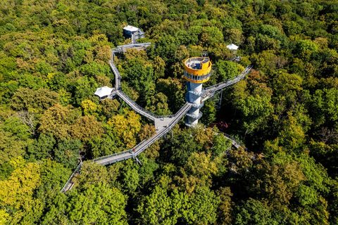 Besucher können entlang des 540 Meter langen Pfads durch die Baumwipfel im Nationalpark schlendern. Foto: Jacob Schröter/dpa