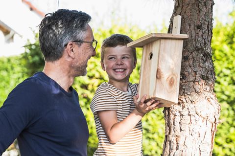 Nistkasten bauen: Junge hängt mit seinem Vater einen Nistkasten auf