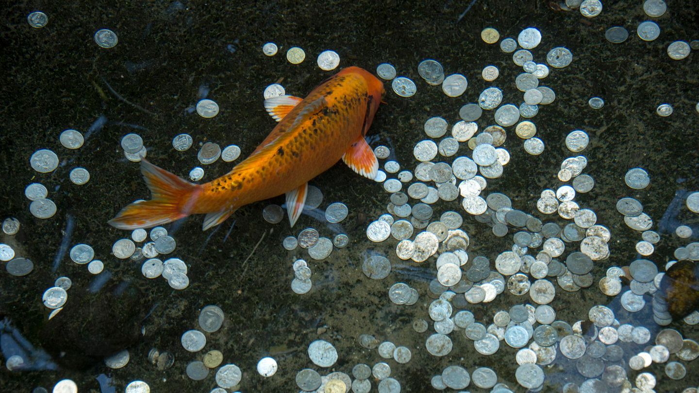 Ein Goldfisch schwimmt über Geldmünzen im Teich Ein Goldfisch schwimmt über Geldmünzen im Teich