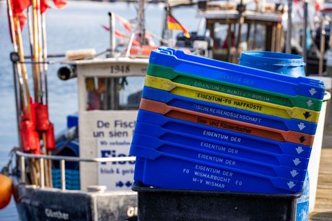 Brüssel will für den Hering keine Ausnahme mehr machen. Foto: Jens Büttner/dpa-Zentralbild/dpa