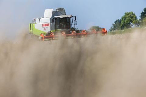 Nicht für alle Bauern fiel wie Raps- und Weizenernte in diesem Jahr gut aus. (Symbolbild) Foto: Thomas Warnack/dpa