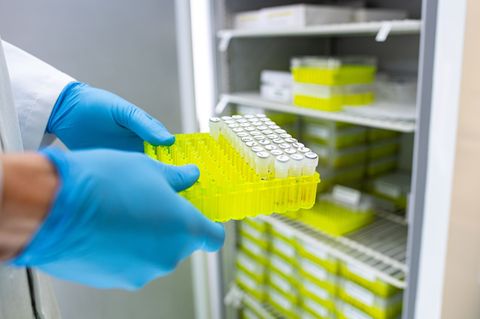 Ehec steht für enterohämorrhagische Escherichia coli und bezeichnet bestimmte krankmachende Stämme dieses im Darm vorkommenden B