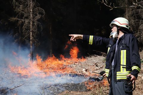Brennendes Waldstück bei Gummersbach im April. Vor allem das trockene Frühjahr hat zu mehreren kleinen Waldbränden geführt. Foto