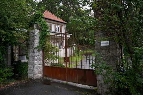 Die alte Siemens-Villa soll zwangsversteigert werden. Foto: Jens Kalaene/dpa