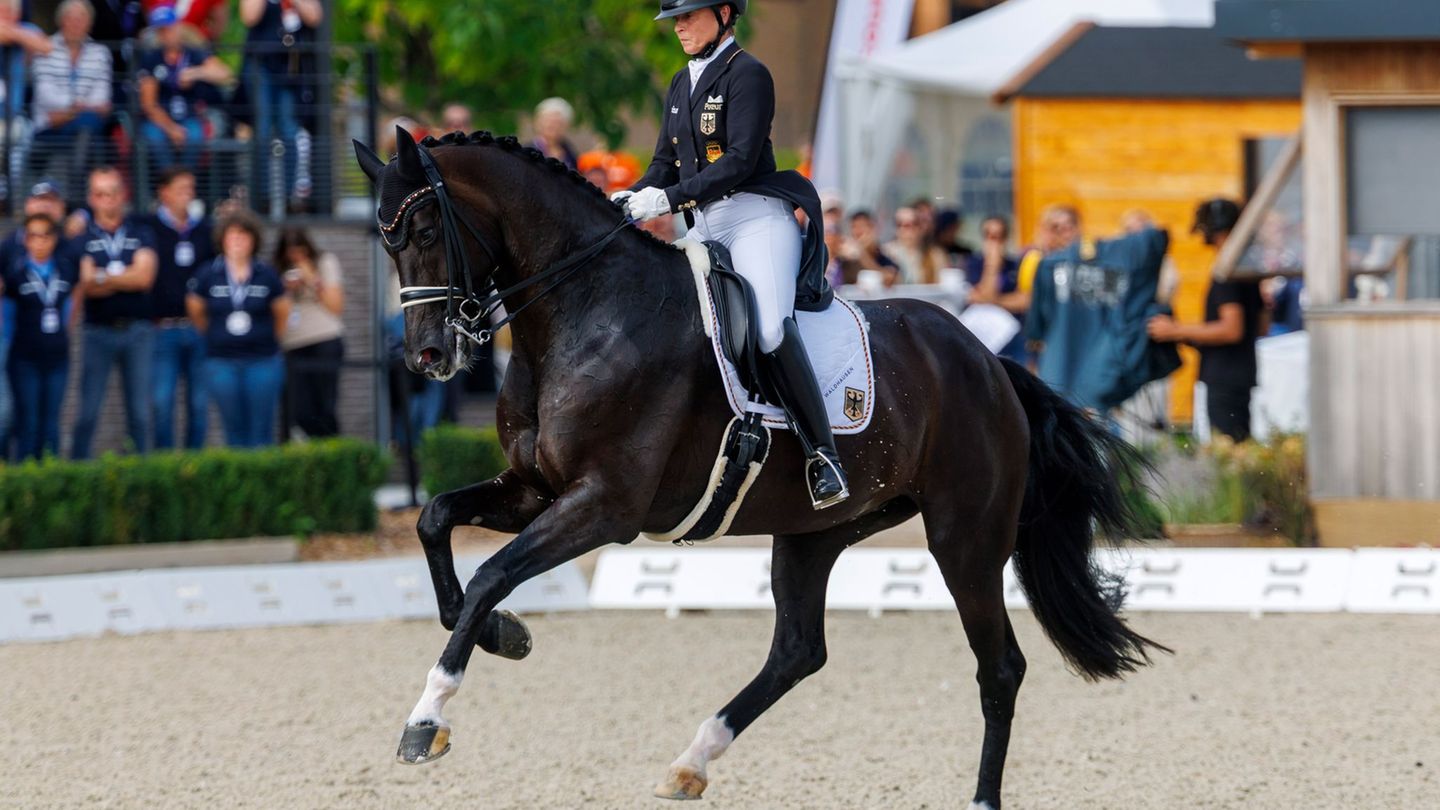 European Championship: Werth fails on 10th single gold at dressage-European