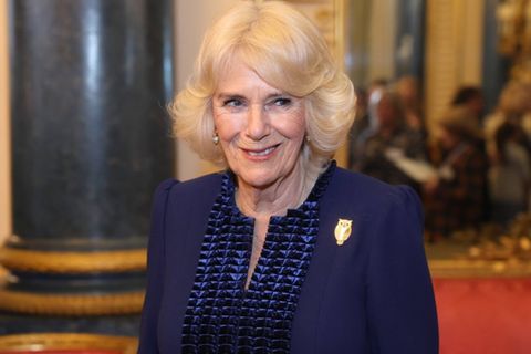 Königin Camilla soll einst im Zug nach Paddington sexuell belästigt worden sein.