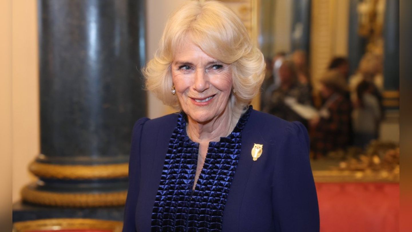 Queen Camilla: Was she sexually harassed as a teenager?