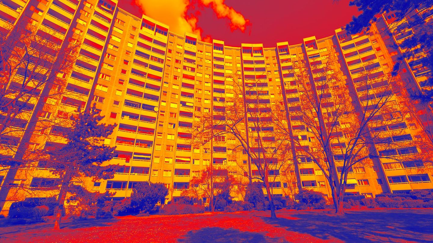 Als Begründung für die hohe Miete nannte der Vermieter die aufwendige Modernisierung der Wohnung vor unserem Einzug