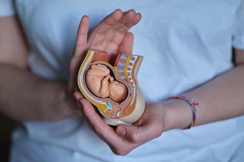 Geburtshilfe: Medizinische Angestellte hält Modell eines Säuglings im Bauch in die Kamera