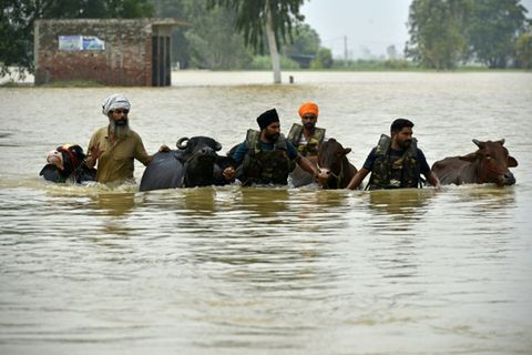 Hochwasser in Punjab