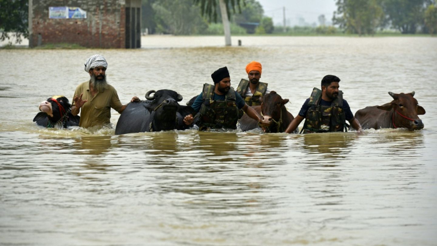 Hochwasser in Punjab