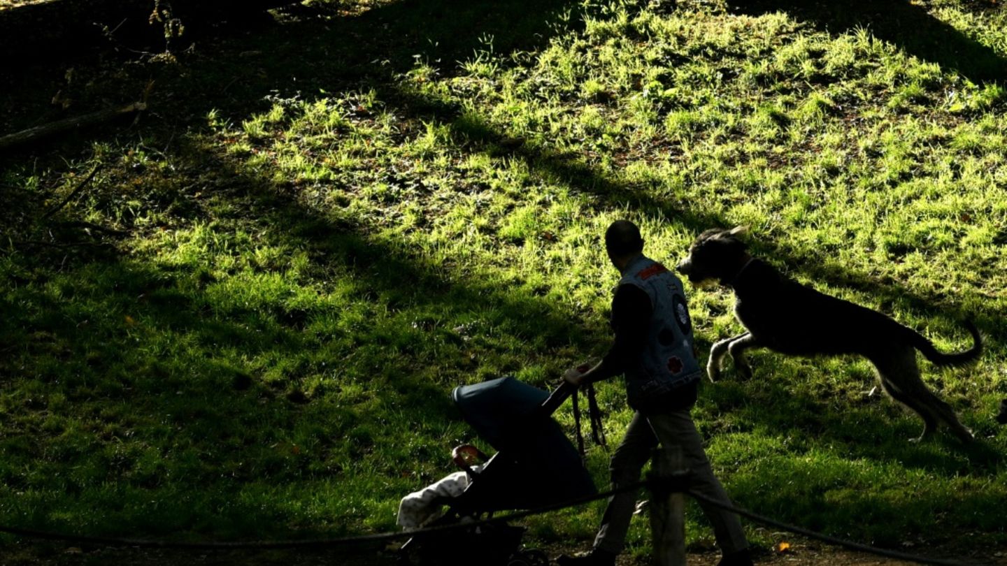 Mann mit Kinderwagen und Hund