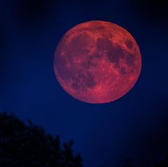 Der Vollmond im September 2025 wird ein Blutmond – das Ergebnis einer totalen Mondfinsternis