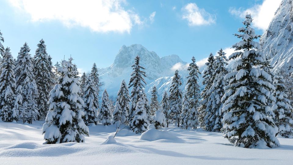 Weiße Winterlandschaft