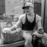 Ein Mann krault in der U-Bahn seinen Hund, der in einer Tasche sitzt