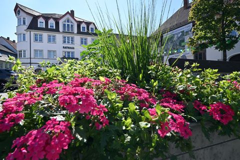 Thüringen verschiebt die geplanten Landesgartenschauen in der Saale-Orla-Region und in Altenburg um jeweils zwei Jahre. Foto: Ma