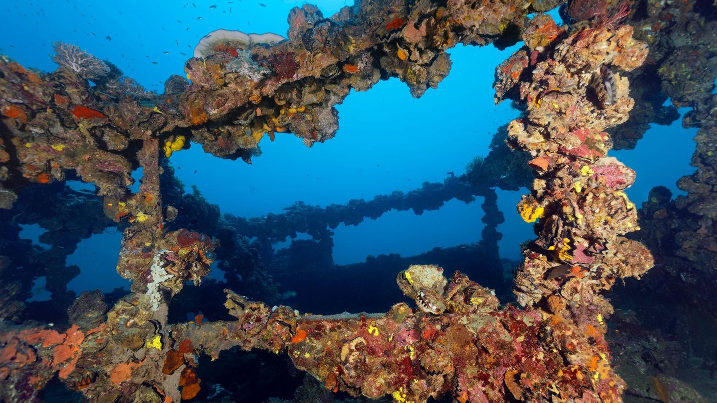 Wracks Kyokuzan Maru