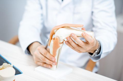 Kreuzband und Meniskus: Arzt hält ein Knie Modell in die Kamera