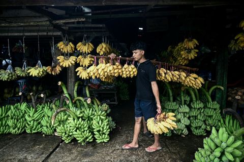 Bananenverkäufer in Myanmar im September 2025
