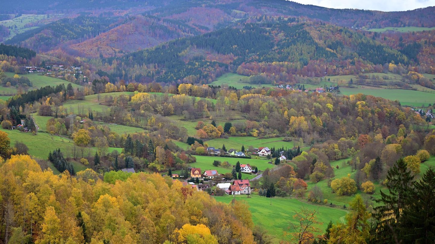 Besonders waldreich sind die Landkreise Schmalkalden-Meiningen, Saalfeld-Rudolstadt und der Wartburgkreis. (Symbolbild) Foto: Ma