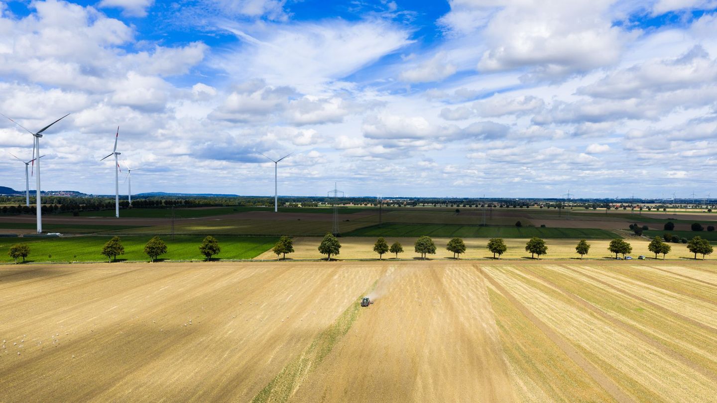 Nach Angaben des Agrarministeriums liegen die Kauf- und Pachtpreise für landwirtschaftliche Flächen in Niedersachsen deutlich üb