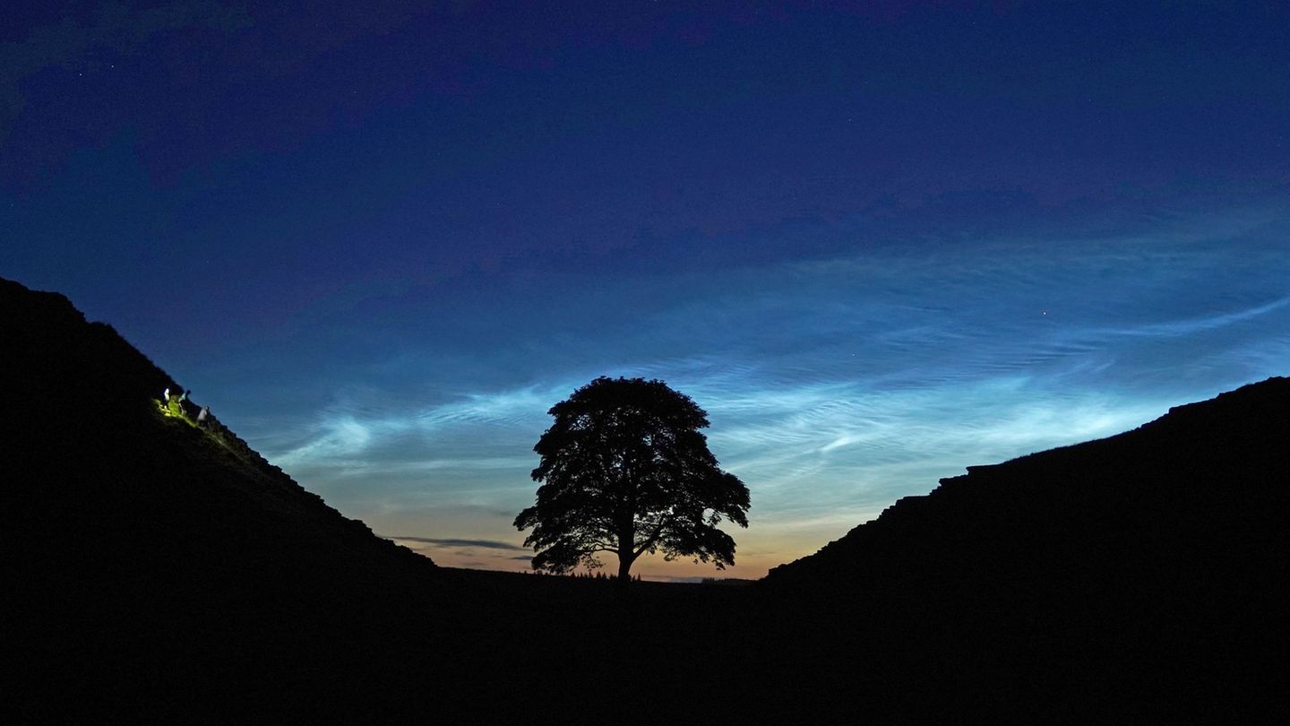 Der Sycamore Gap Tree in England war einst ein beliebtes Fotomotiv. (Archivfoto) Foto: Owen Humphreys/PA Wire/dpa