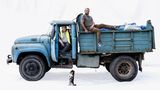 Lkw mit Fahrer und Hund