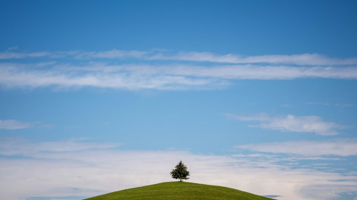 Land-Kunst