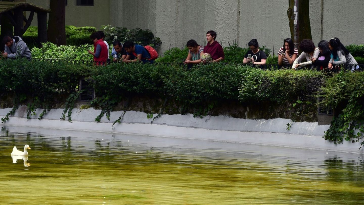 Menschen mit Smartphones in einem Park