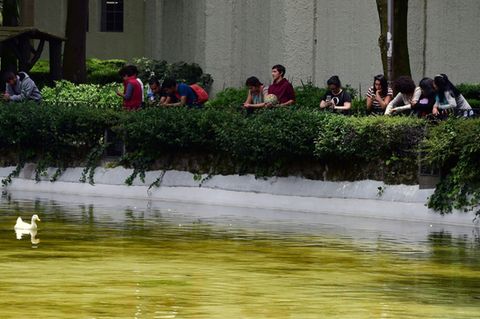 Menschen mit Smartphones in einem Park