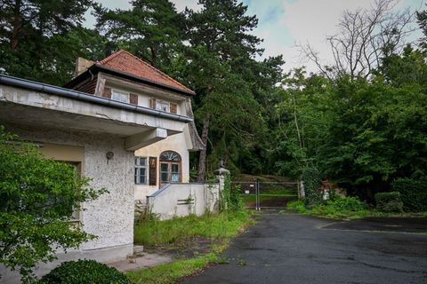 Die alte Siemens-Villa soll zwangsversteigert werden. (Archivbild) Foto: Jens Kalaene/dpa