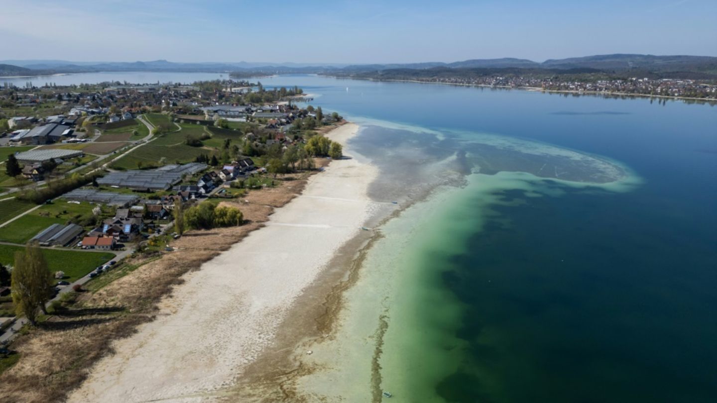 Blick auf Bodensee